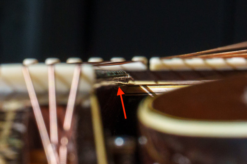 Rare, Holy Grail 1913 Larson Dyer Style 8 Harp Guitar