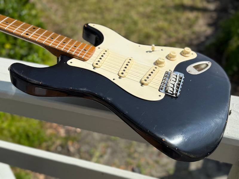 Danocaster Double Cut (used)