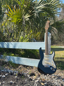 Danocaster Double Cut