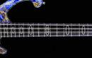 Jens Ritter Roya Custom 4 String Bass
