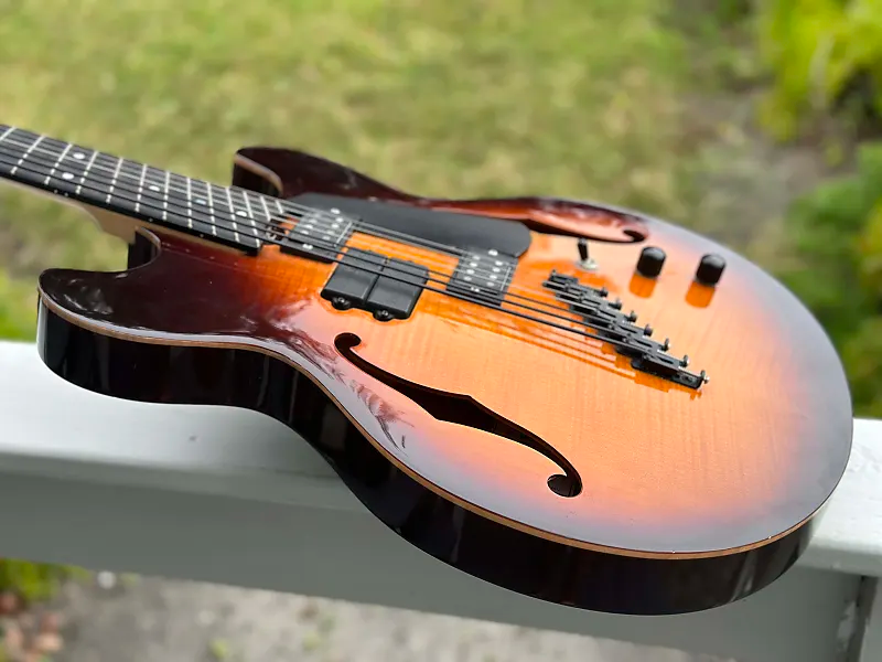 Charlie hunter hybrid guitar deals