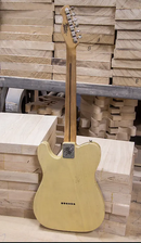 Mario Martin Nocaster T