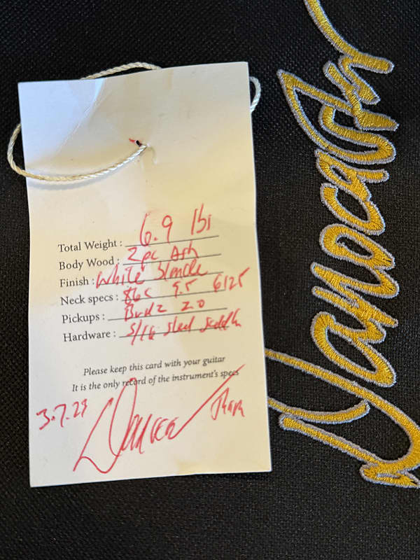 Danocaster Single Cut