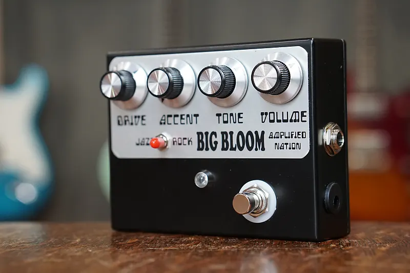 Amplified Nation Big Bloom Overdrive Black Edition